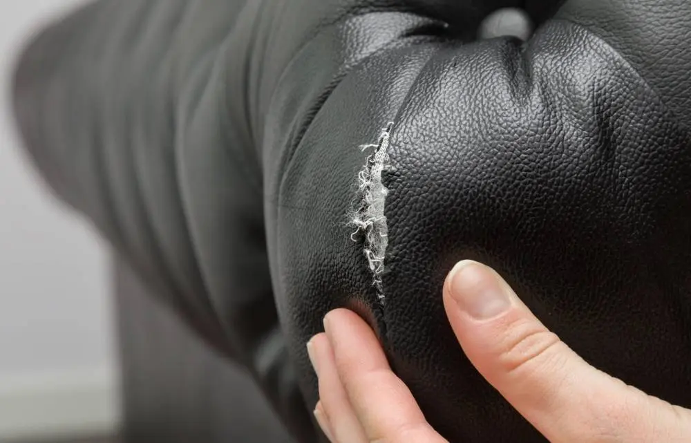Cómo reparar un sofá de cuero: Guía paso a paso para eliminar arañazos - Cómo arreglar los arañazos de las uñas de perro en un sofá de cuero como reparar un sofa de cuero de aranazos - Cómo arreglar los arañazos de las uñas de perro en un sofá de cuero