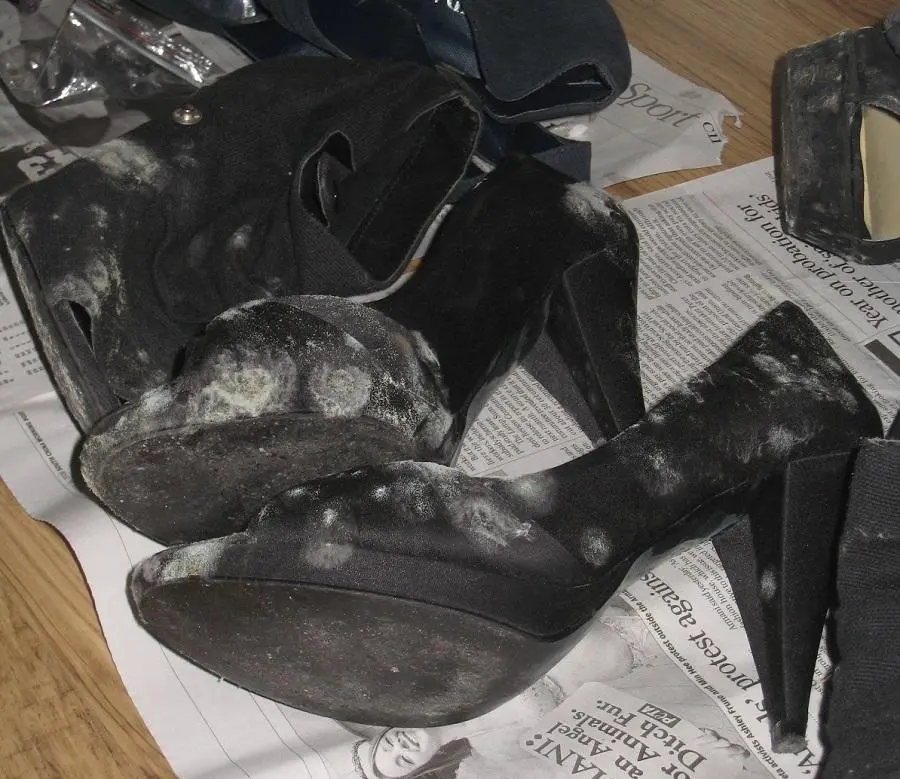 Cómo Eliminar el Moho de los Zapatos de Cuero: Guía Completa para un Calzado Impecable - Cómo eliminar el hongo del calzado como quitar el moho de los zapatos de cuero - Cómo eliminar el hongo del calzado