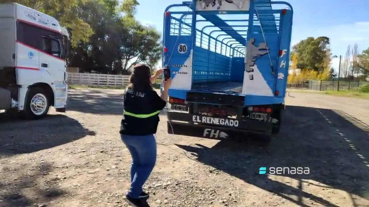 SENASA Categoría Transporte: Cueros Salados - Cómo obtener el permiso de transporte de alimentos senasa categoria transporte cueros salados - Cómo obtener el permiso de transporte de alimentos