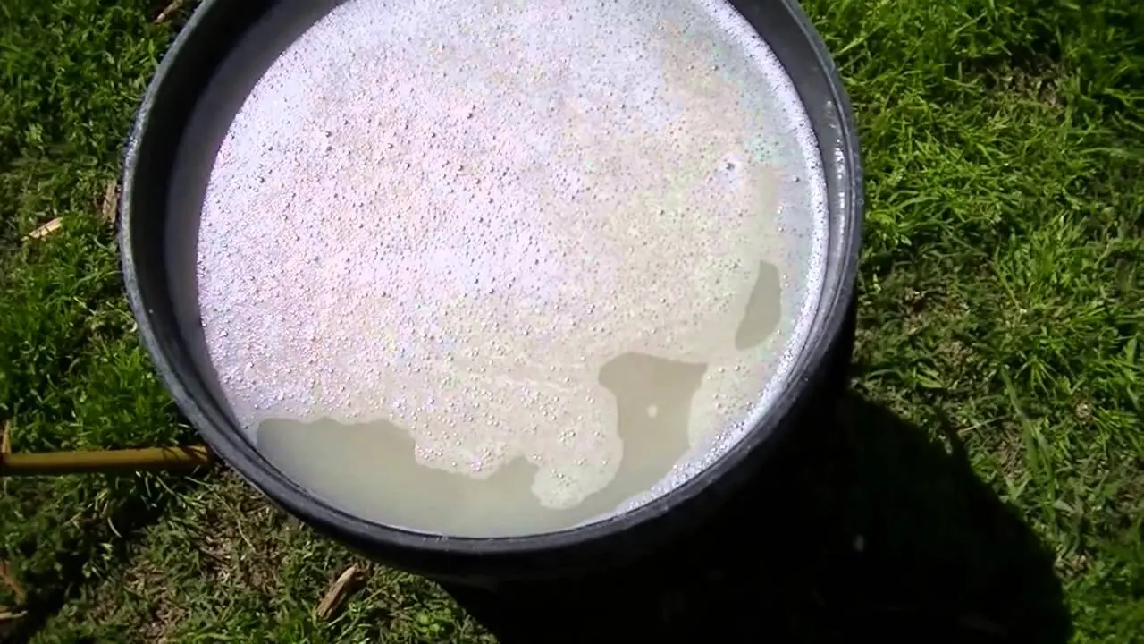 Cómo Pelar Cuero de Vaca: Guía Completa para Eliminar el Pelo - Cómo quitar el pelo de la piel de vaca como pelar cueros de vaca - Cómo quitar el pelo de la piel de vaca