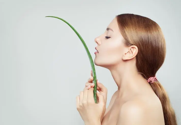 Aloe Vera para la Caída del Cabello: ¿Mito o Realidad? - Cómo recuperar el pelo con aloe vera aloe en el cuero cabelludo por la caida del pelo - Cómo recuperar el pelo con aloe vera