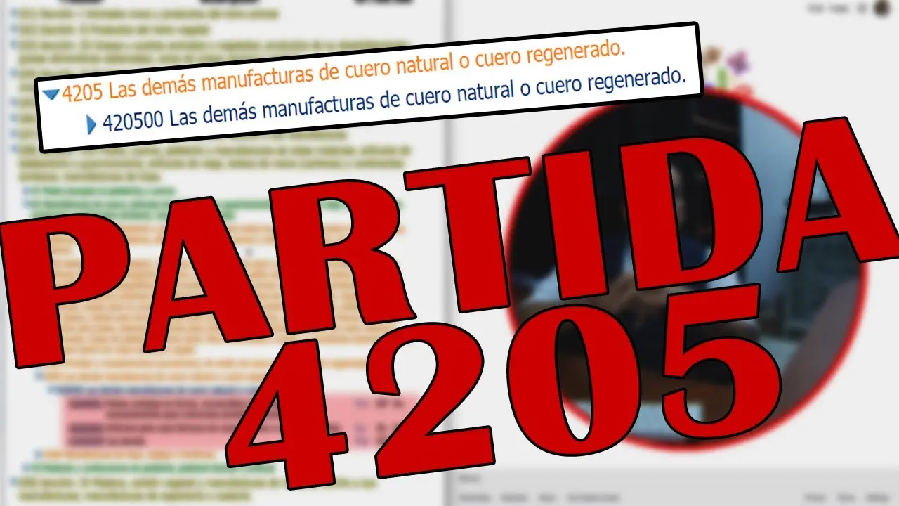 Partida Arancelaria del Cuero: La Guía Completa - Cómo se determina la partida arancelaria partida arancelaria del cuero - Cómo se determina la partida arancelaria