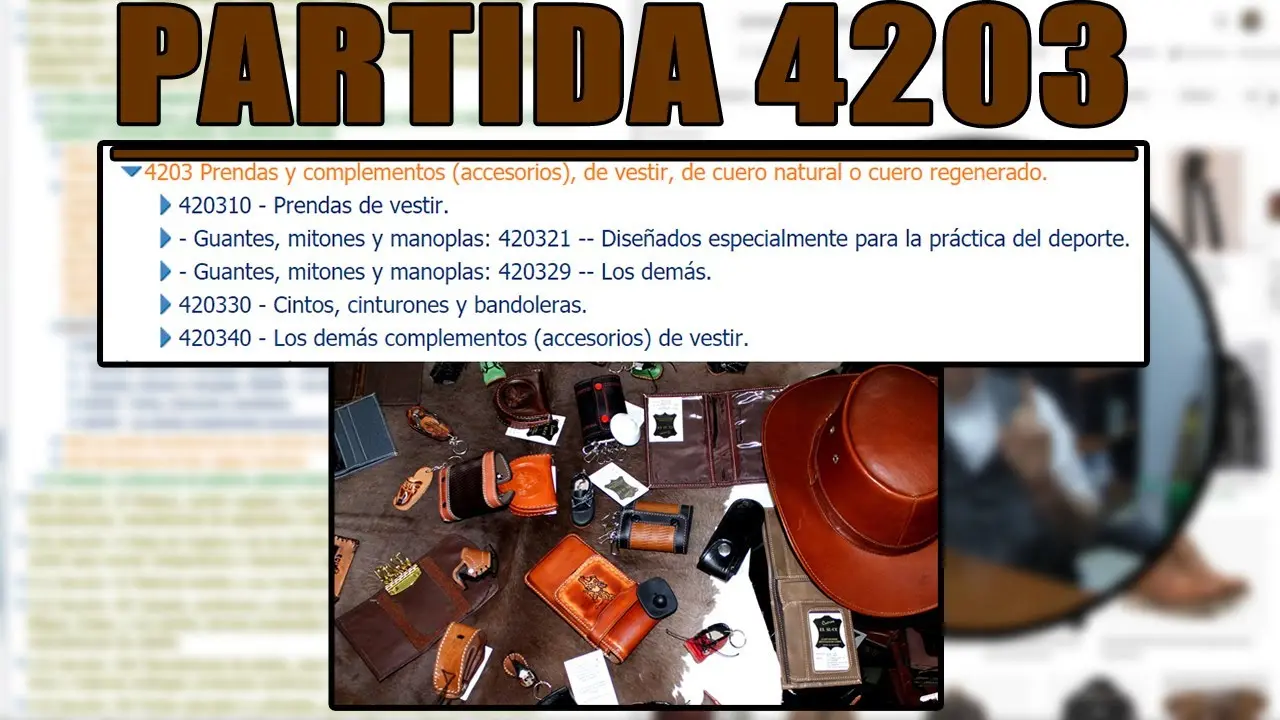 Partida Arancelaria del Cuero: La Guía Completa - Cómo se identifica la partida arancelaria partida arancelaria del cuero - Cómo se identifica la partida arancelaria