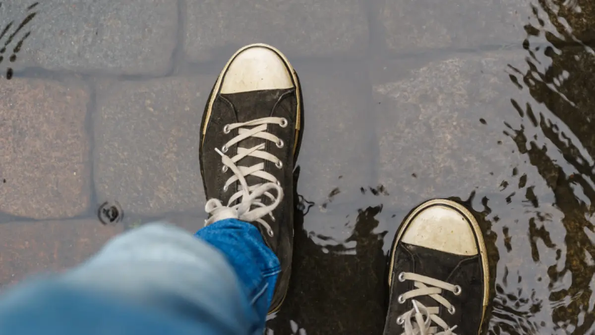 Cómo secar botas de cuero: Guía completa para mantener tus botas impecables - Cómo secar rápidamente los zapatos mojados como secar botas de cuero - Cómo secar rápidamente los zapatos mojados
