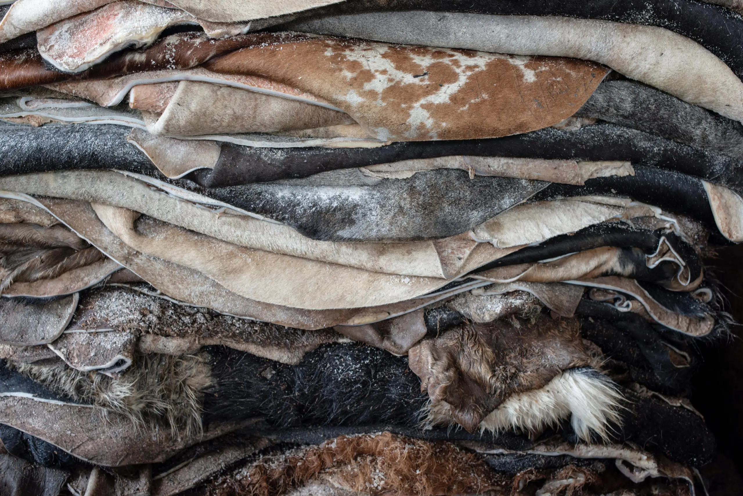 La Contaminación de las Curtiembres: Un Problema Ambiental Urgente - Cuál es el impacto ambiental de las curtiembres contaminacion por una manufacturera de cueros - Cuál es el impacto ambiental de las curtiembres