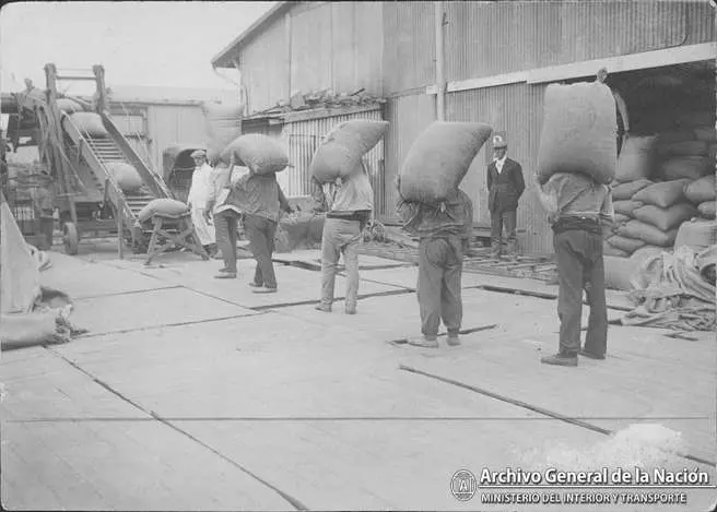 El modelo agroexportador argentino: Un análisis del período 1880-1930 - Cuáles eran los principales productos agrícolas que exporta argentina exportaciones agropecuarias cueros y lanas en 1880 y 1930 - Cuáles eran los principales productos agrícolas que exporta argentina