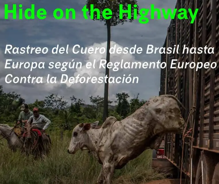 Reglamento UE: Una Guía Completa para Entender su Funcionamiento - Cuándo entra en vigor un Reglamento UE reglamento ue cueros - Cuándo entra en vigor un Reglamento UE