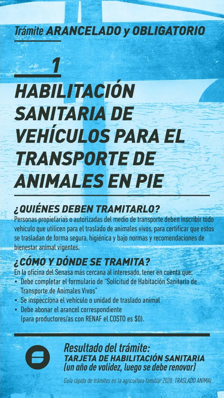 Guía de Cuero SENASA: Requisitos y Procedimientos para el Transporte y Sacrificio de Animales - Cuántas horas mínimas de reposo deben tener los animales antes del sacrificio guia de cueros senasa - Cuántas horas mínimas de reposo deben tener los animales antes del sacrificio