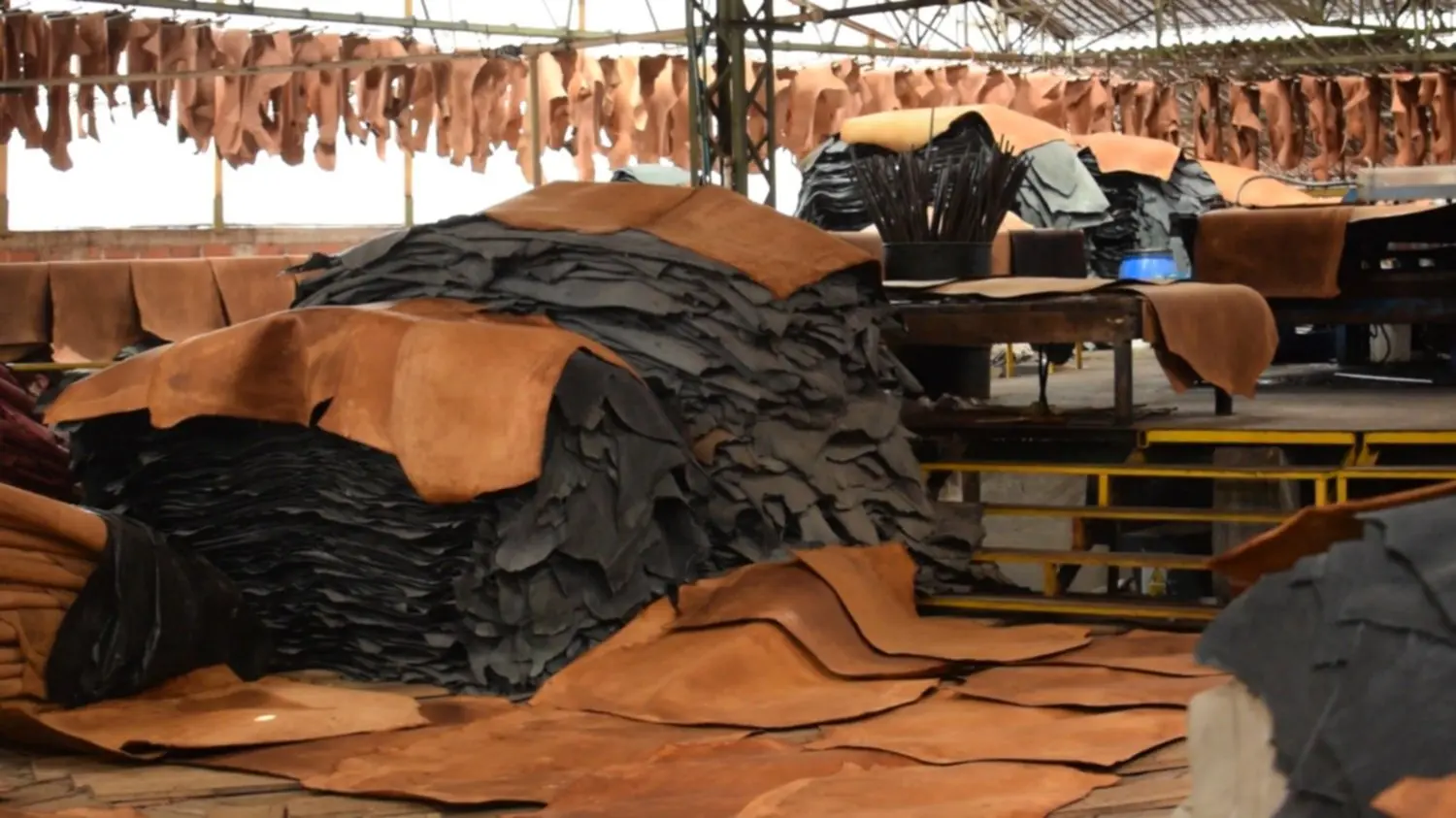 Exportación de Cuero Vacuno Colombiano: Un Sector en Ascenso - Cuánto cuero exporta Colombia exportacion de cueros vacunos - Cuánto cuero exporta Colombia
