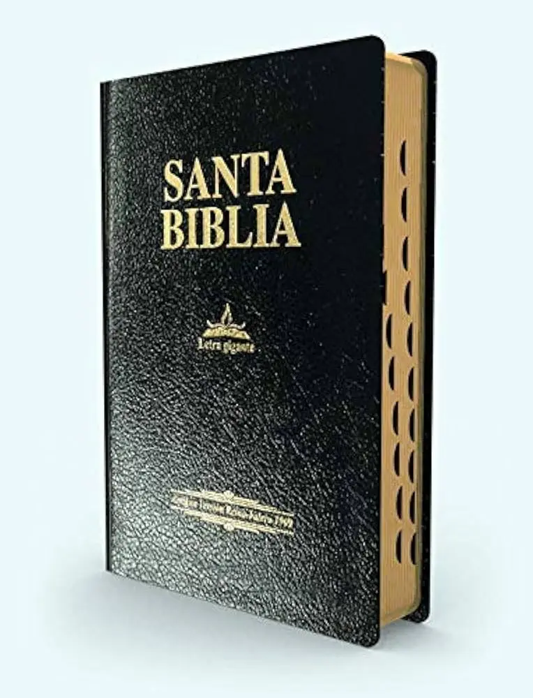 Las Biblias de Lutero: Un análisis del canon protestante - Cuántos libros tenía la Biblia de Lutero biblias lutero 1909 tapa de cuero - Cuántos libros tenía la Biblia de Lutero