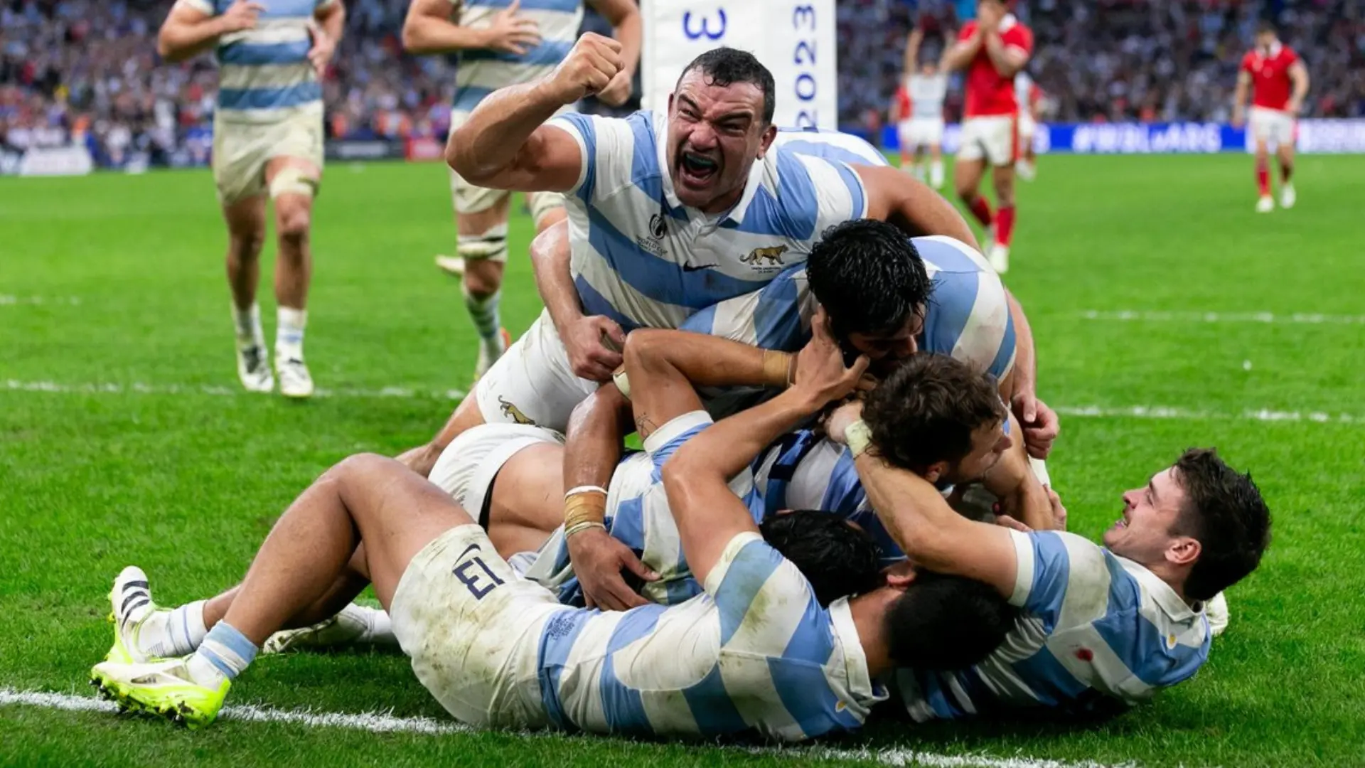 Agustín Creevy: El adiós de un ícono del rugby argentino - Cuántos mundiales tiene Creevy agustin creevy en cuero - Cuántos mundiales tiene Creevy