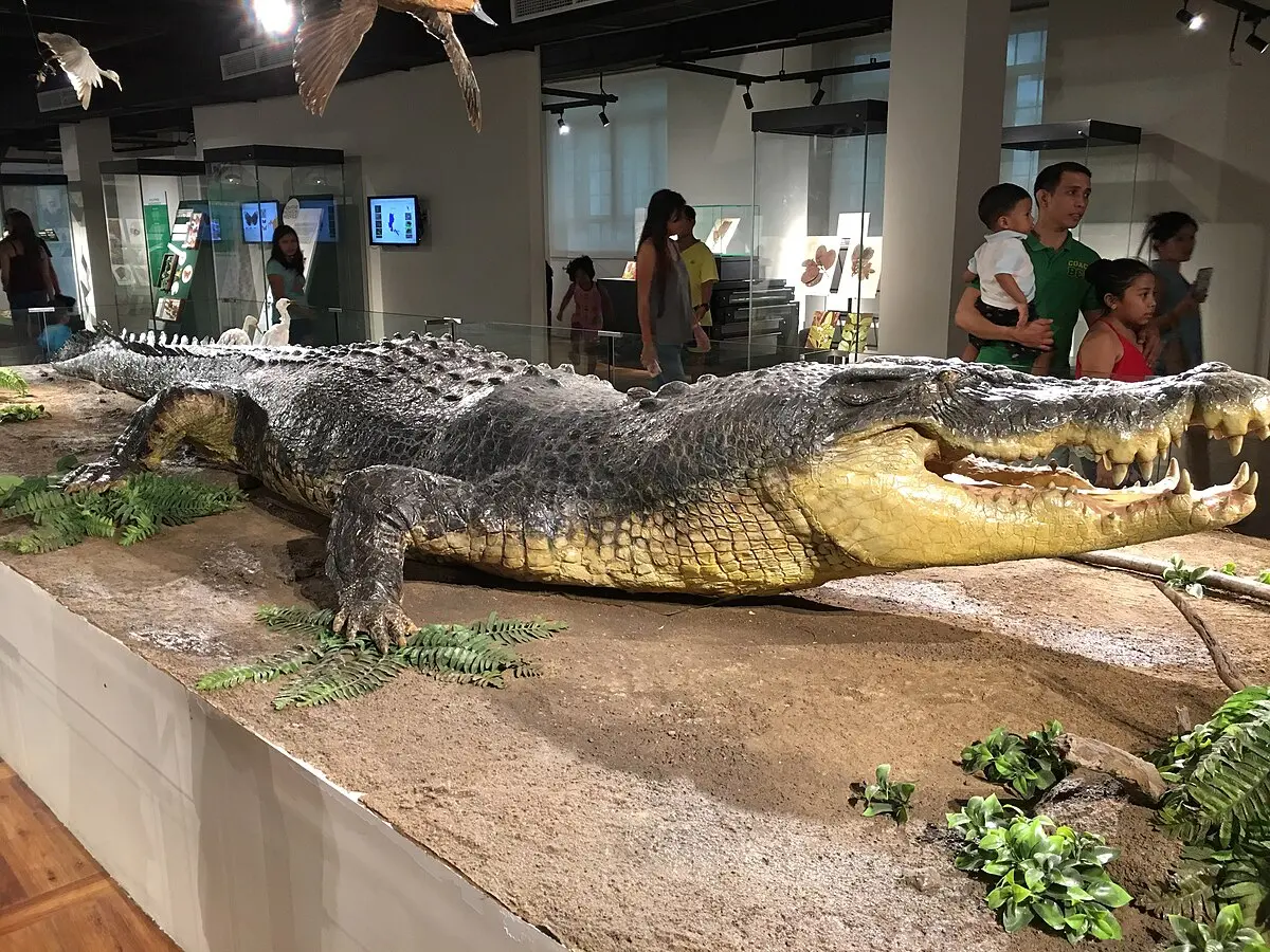 Cuero Croco: Todo lo que necesitas saber sobre esta piel de lujo - De dónde proviene el cuero de cocodrilo cueros croco - De dónde proviene el cuero de cocodrilo