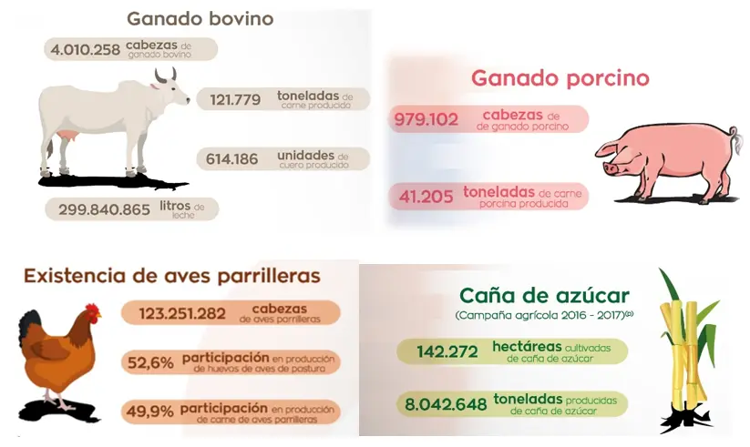 Las Zonas Ganaderas en Argentina: Donde se Produce la Carne - Dónde se produce la carne en que provincias se desarrollaban las carnes y los cueros - Dónde se produce la carne