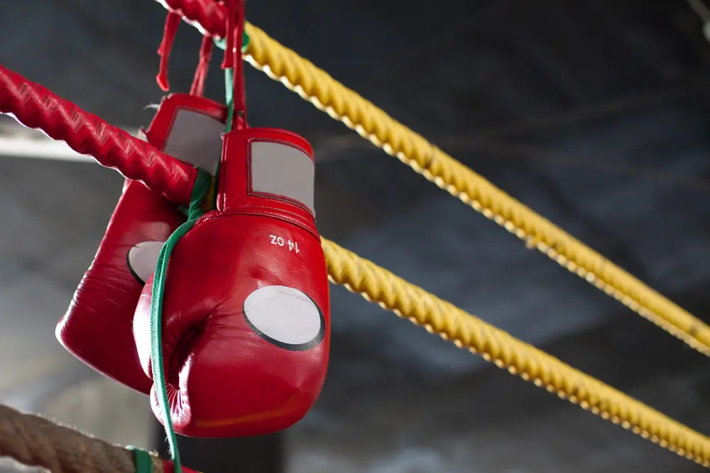 Guantes de Boxeo de Cuero: Durabilidad, Estilo y Protección - Los guantes de boxeo profesionales están hechos de cuero guantes de boxeo de cuero - Los guantes de boxeo profesionales están hechos de cuero