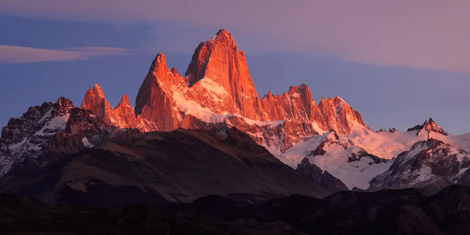 Patagonia y el Bienestar Animal: Una Política para Cuero y Otras Fibras - Patagonia utiliza cuero cueros patagonia - Patagonia utiliza cuero