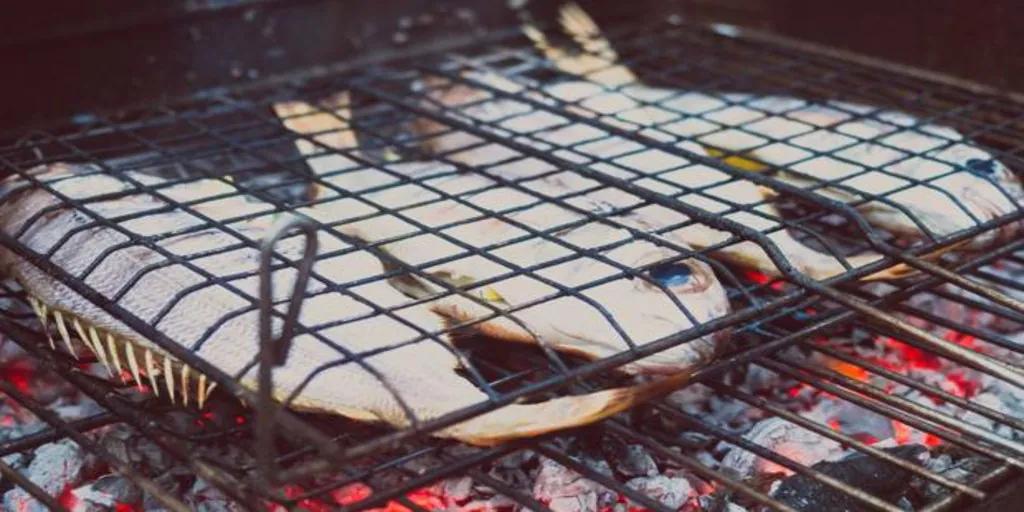 Beneficios y riesgos del consumo de la piel del salmón - Por qué no se come la piel del salmón cuero de salmon - Por qué no se come la piel del salmón
