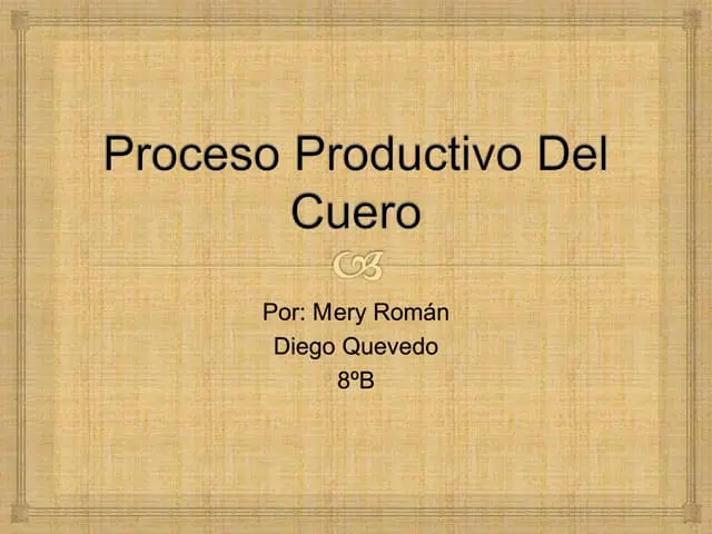 El Circuito Productivo del Cuero en Argentina: Una Industria con Historia y Potencial - Qué circuito productivo se realiza en Argentina circuito productivo del cuero argentina - Qué circuito productivo se realiza en Argentina