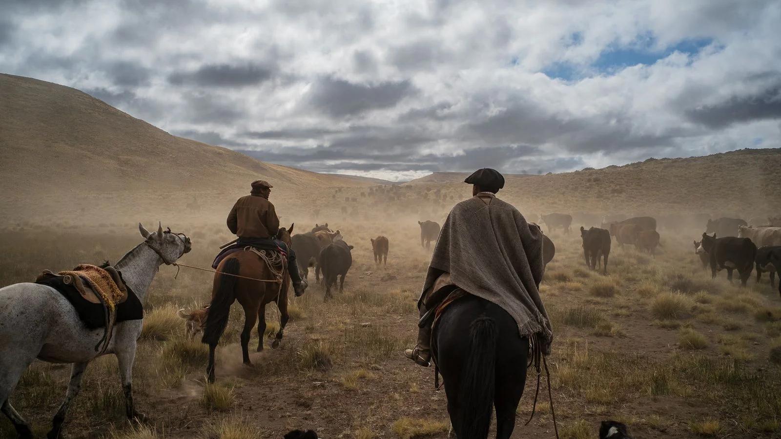 Marroquinería Gaucha: El Arte del Cuero en la Cultura Gauchesca - Qué es el material gaucho marroquineria gaucha - Qué es el material gaucho