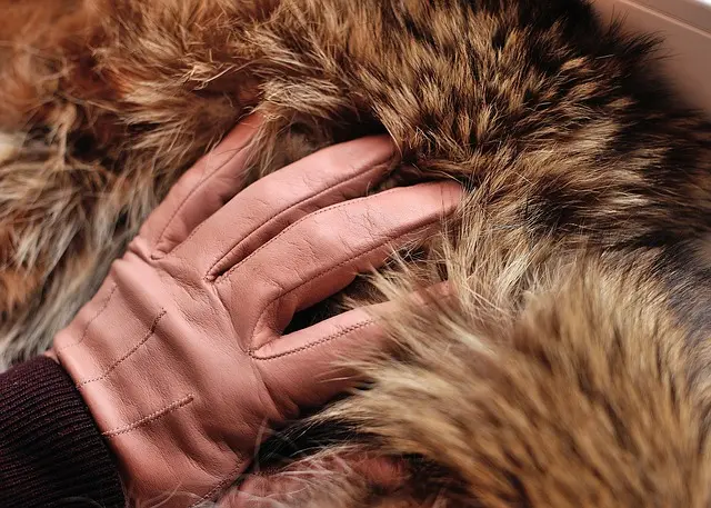 Interior de los Cuero de Animales: Una Mirada al Mundo de la Piel Curtida - Qué es un crupon cuero interior de los cueros de animales - Qué es un crupon cuero
