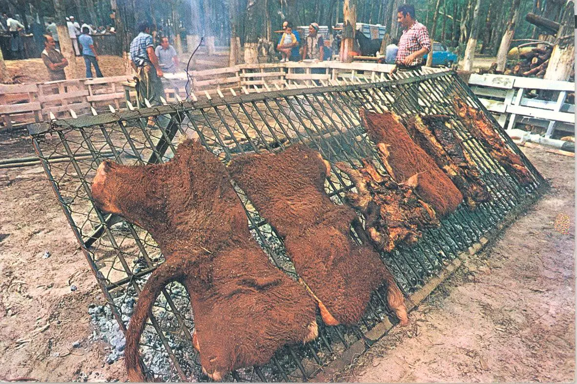 Asado de Manta Cuero de Vaca: Guía Completa para Disfrutar de un Corte Premium - Qué es una manta carne asado de manta cuero de vaca - Qué es una manta carne