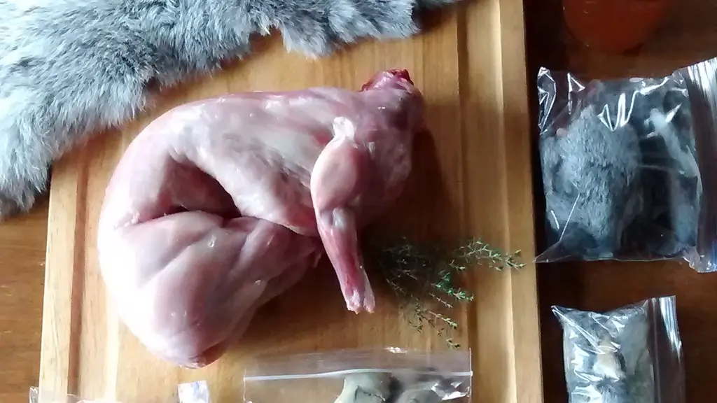Artesanías realizadas con piel de conejo: Una guía completa - Qué hacer con las pieles de conejo de carne artesanias realizadas con cuero de conejo - Qué hacer con las pieles de conejo de carne