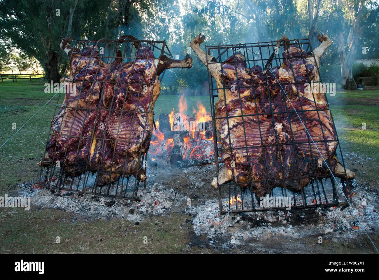 Asado de Manta Cuero de Vaca: Guía Completa para Disfrutar de un Corte Premium - Qué parte de la vaca es el asado de tira asado de manta cuero de vaca - Qué parte de la vaca es el asado de tira