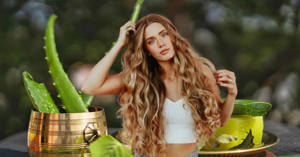 Aloe Vera para el Cabello: Beneficios, Usos y Cómo Hacer Champú Casero - Qué pasa si pongo aloe vera en mi champú aloe en el cuero cabelludo - Qué pasa si pongo aloe vera en mi champú