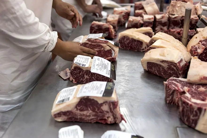 exportacion de carne y cueros bovina argentina 2018 - Qué pasó con la exportación de carne en argentina
