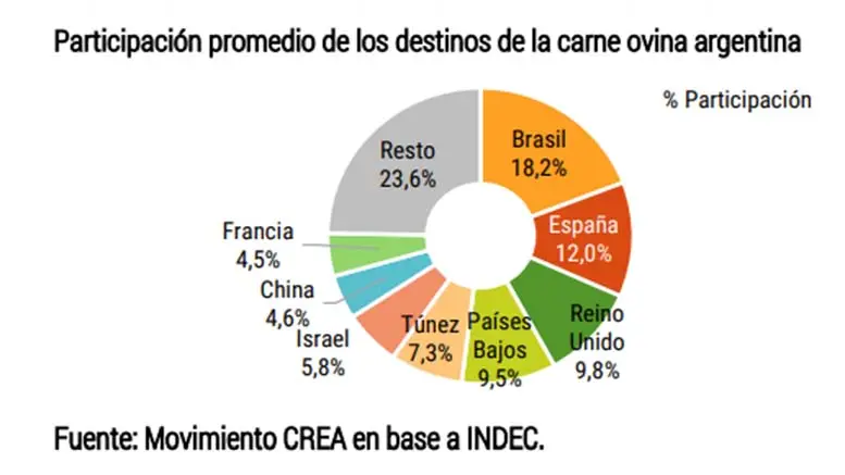 A dónde exporta Argentina cuero ovino: un análisis del mercado - Qué regiones de Argentina se destacan en la ganadería ovina a donde exporta argentina cuero ovino - Qué regiones de Argentina se destacan en la ganadería ovina