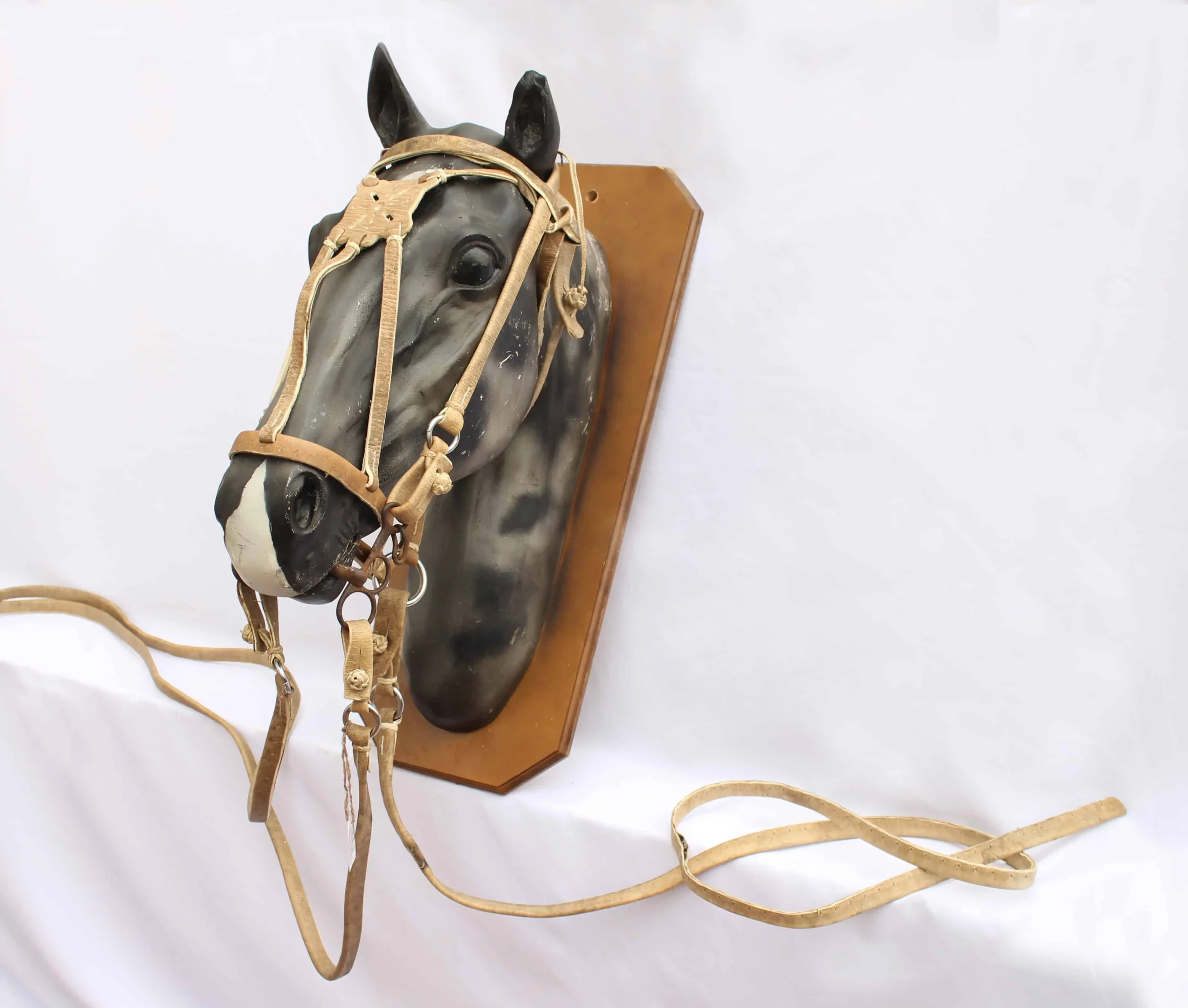 Riendas y Cabezada de Cuero: Guía Completa para Elegir el Equipo Perfecto - Qué significa rienda en un caballo rienda y cabezada de cuero - Qué significa rienda en un caballo