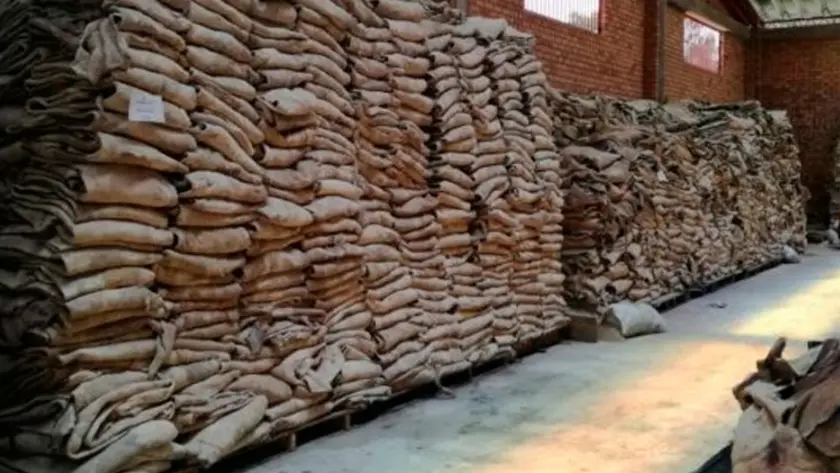 La Industria Frigorífica Argentina: Un Viaje a Través de Cuatro Fases - Qué son los frigoríficos de carne frigorifico de cueros - Qué son los frigoríficos de carne