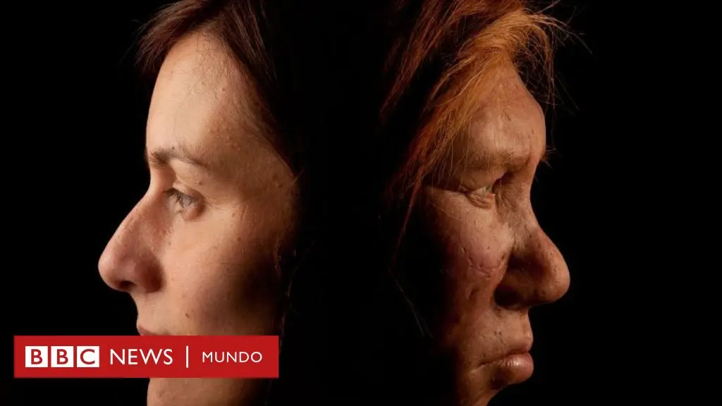 La vestimenta de los neandertales: Pieles y cueros para combatir el frío - Qué tan inteligentes eran los neandertales neandertales vestimenta de pieles y cueros - Qué tan inteligentes eran los neandertales